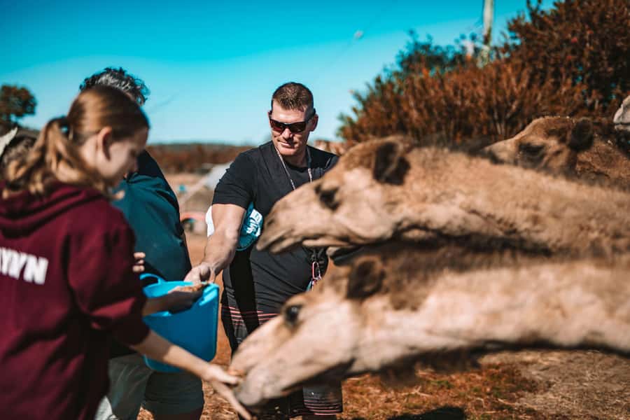 Mutchilba: Farm Animal Feeding - Timing Your Visit and Holiday Changes