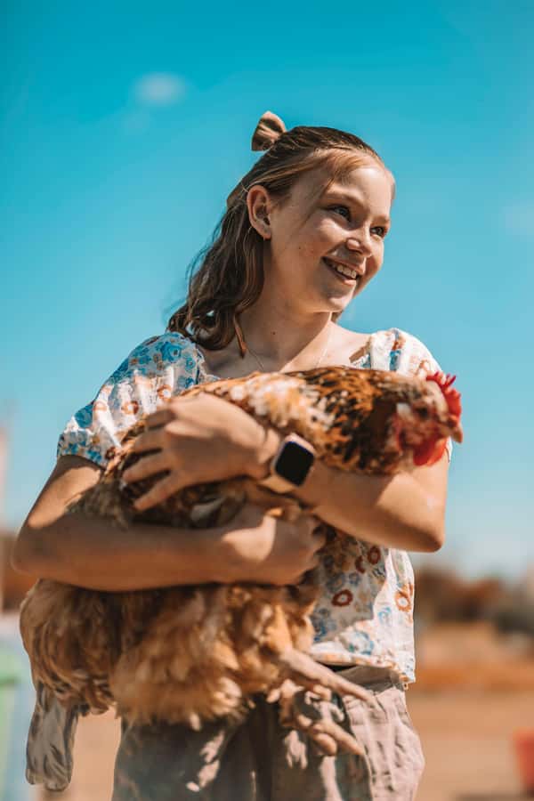 Mutchilba: Farm Animal Feeding - Cancellation, Payment, and Accessibility