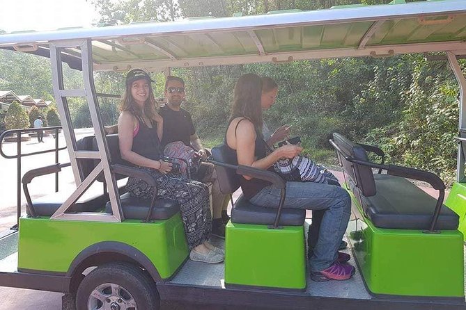 MY SON Tour & Hoi An Countryside with Basket Boat, Buffalo Ride,Farming Activity - Buffalo riding and farming keep the day active