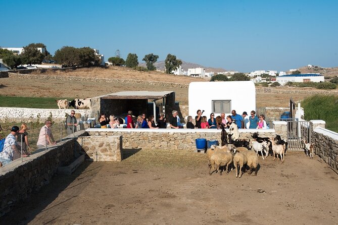 Mykonian Farm Entrance Ticket - Why Mykonian Farm feels different from a typical Mykonos outing
