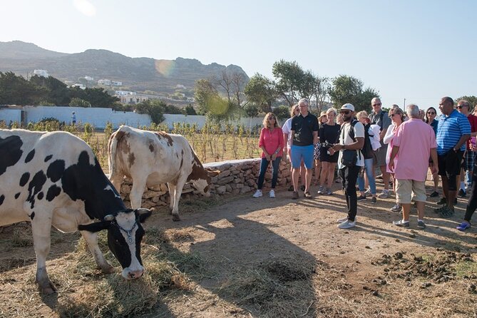 Mykonian Farm Entrance Ticket - What the guided visit with Babis can add
