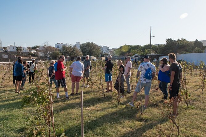 Mykonian Farm Entrance Ticket - Is $12.10 good value?