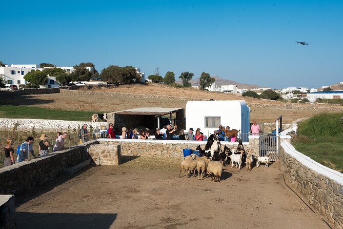 Mykonian Farm Experience - Key points at a glance
