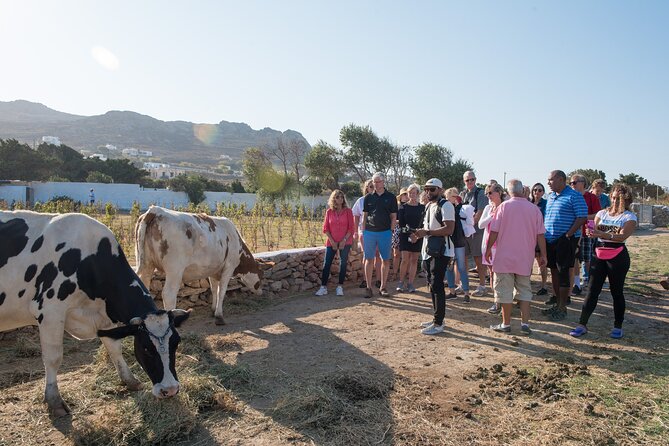 Mykonian Farm Experience - Three wines over 60 to 90 minutes