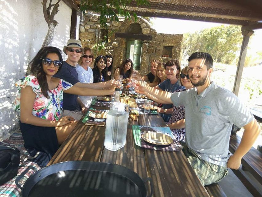 Mykonos: Farm, Ano Mera Village, and Beaches Guided Tour - Key points to know before booking
