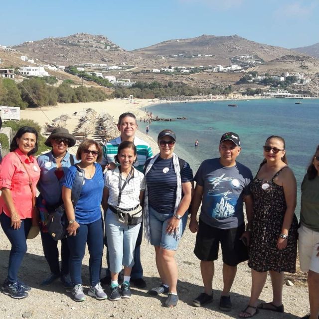 Mykonos: Farm, Ano Mera Village, and Beaches Guided Tour - Who should book this island tour?