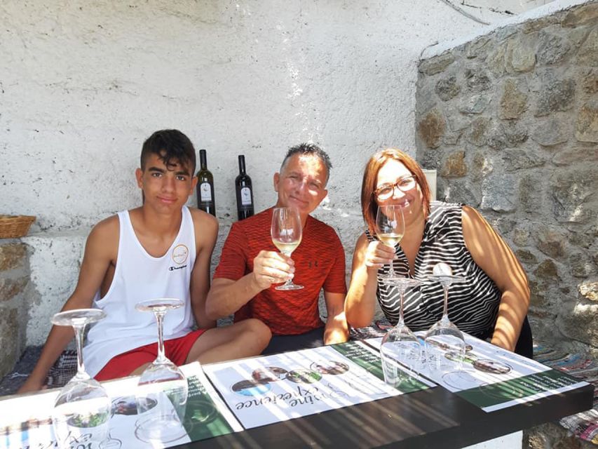 Mykonos: Wine Tasting at a Mykonian Farm - The pickup and drive across the island