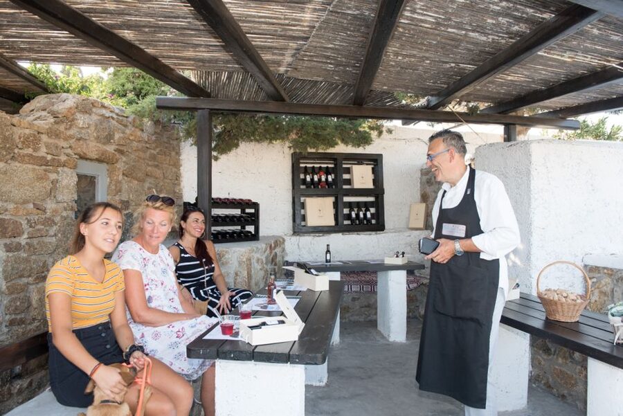 Mykonos: Wine Tasting at a Mykonian Farm - How the four-wine tasting works