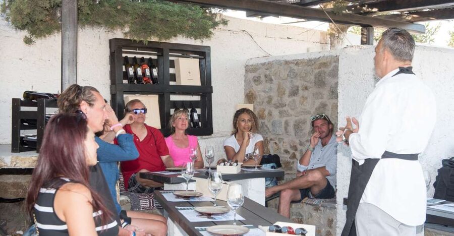 Mykonos: Wine Tasting at a Mykonian Farm - Timing, group size, and the question of pace