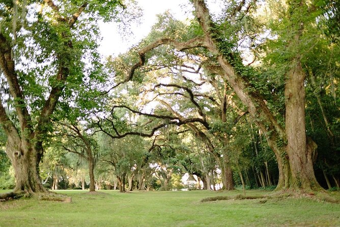 Myrtles Plantation Daytime Historical Tour - Transportation from Baton Rouge