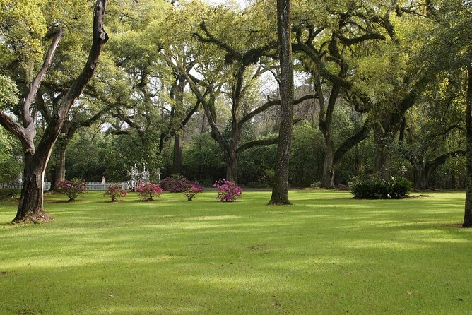 Myrtles Plantation Daytime Historical Tour - Tips for making the visit work