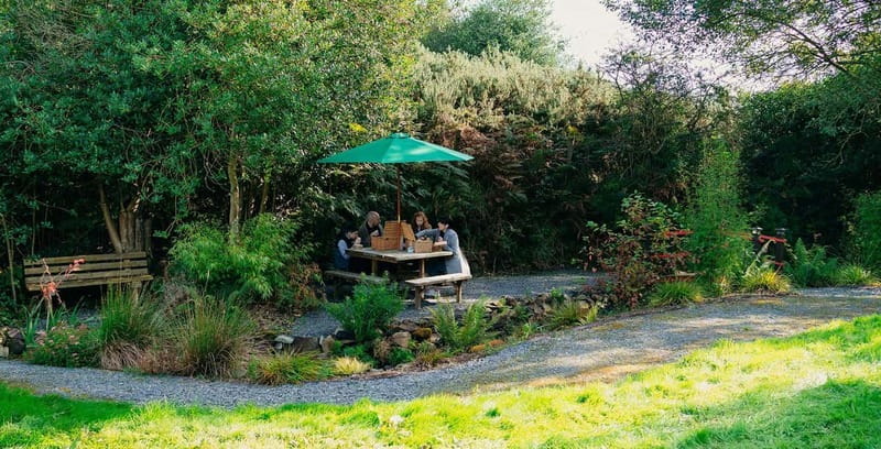 N. Ireland: Award Winning Guided Scenic Alpaca Trekking - How to prepare for the walk