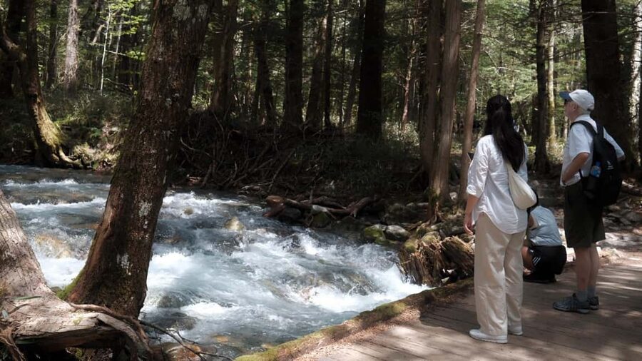 Nagano Autumn special: Kamikochi & Wasabi Farm & Winery - Two hours beside the Azusa River