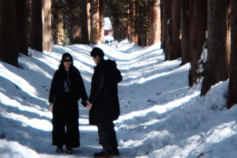 Nagano: Togakushi Shrine of 1400 Years & Farm-to-Table Lunch - The Cedar Avenue Is the Main Event