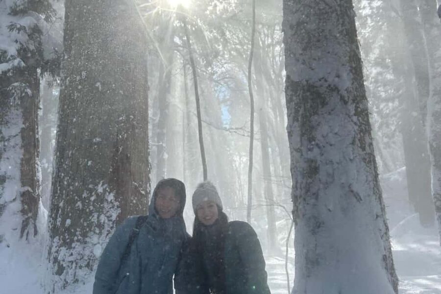 Nagano: Togakushi Shrine of 1400 Years & Farm-to-Table Lunch - Who Will Get the Most from This Tour