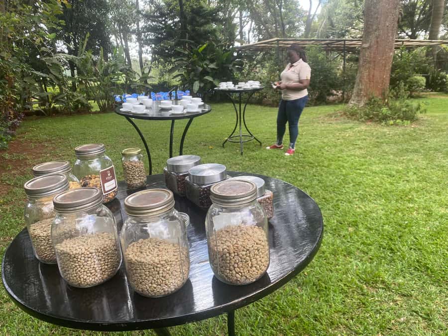 Nairobi: Coffee Factory and Farm Tour with Transfer - From Nairobi streets to Limuru coffee country