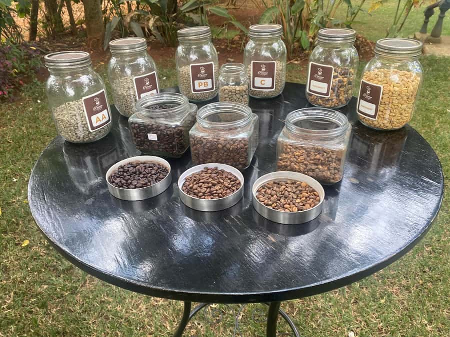 Nairobi: Coffee Factory and Farm Tour with Transfer - The coffee tasting is more than a quick sip