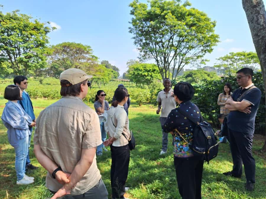 Nairobi: Coffee farm tour with pick up - Inside the Fairview processing center