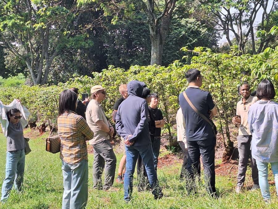 Nairobi: Coffee farm tour with pick up - What the $36 price really covers