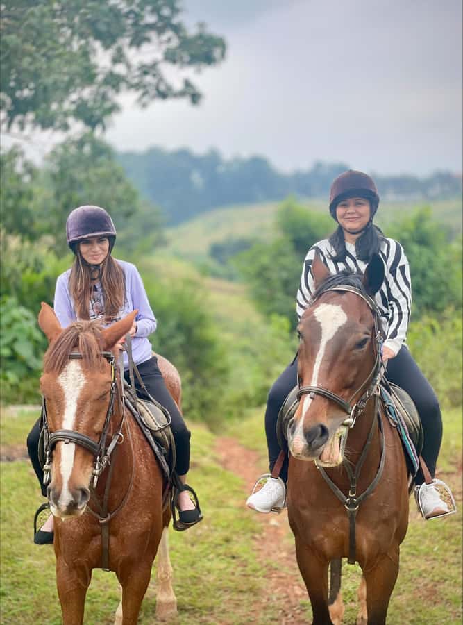 Nairobi: Horseback Riding Tour Through Maize Plantation - Meeting the horses at New Muthaiga