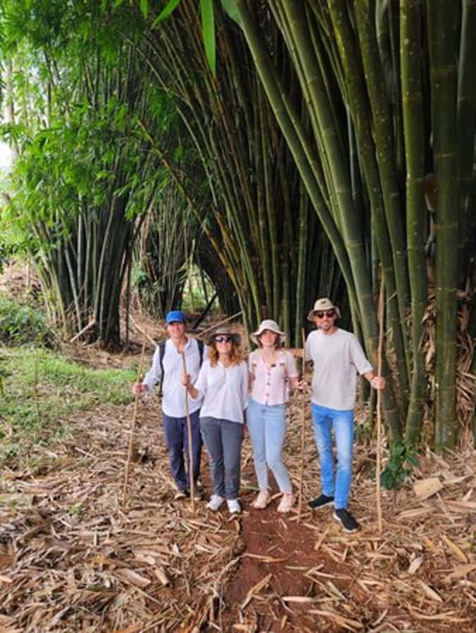 Nairobi: Purple Tea Farm Gatura Greens Day Trip - Walking through bamboo to the waterfall