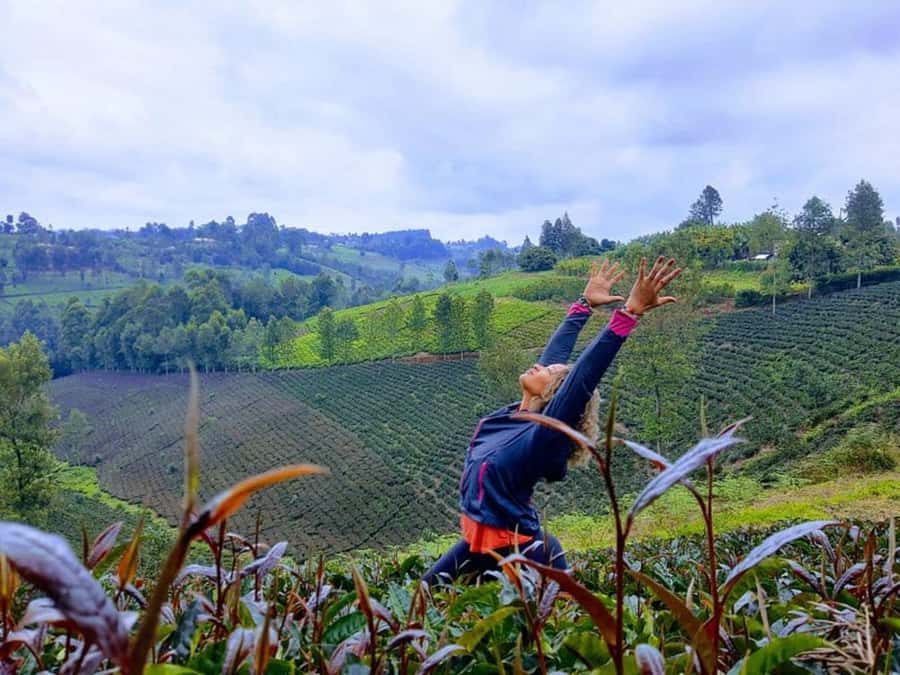 Nairobi: Purple Tea Farm Gatura Greens Day Trip - The drive from Nairobi and the private format