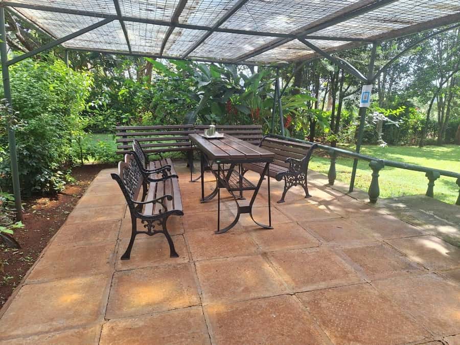 Nairobi: Tea Farm Day Trip with Lunch at kiambethu - Walking among the tea bushes