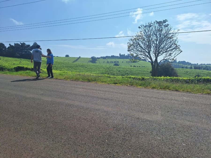 Nairobi: Tea Farm Day Trip with Lunch at kiambethu - Indigenous forest and the waterfall walk