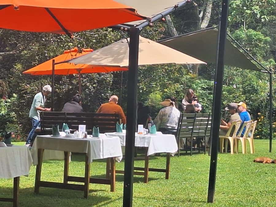 Nairobi: Tea Farm Day Trip with Lunch at kiambethu - A three-course farm lunch around 1pm