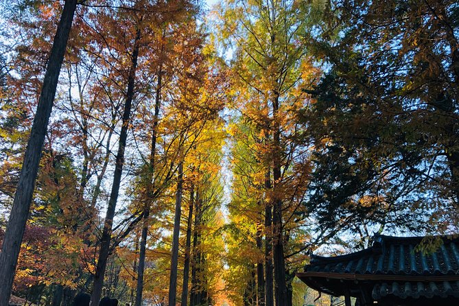 Nami+Alpaca+Garden of Morning Calm (+Rail Bike Option) - Gyeonggang Rail Bike, a short ride with a clear warning