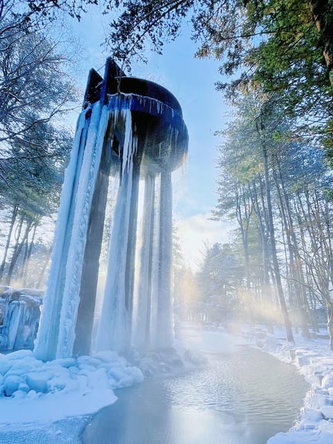 Nami Island, Railbike & Alpaca Garden Day Trip from Seoul - Should you book this $78 day trip?