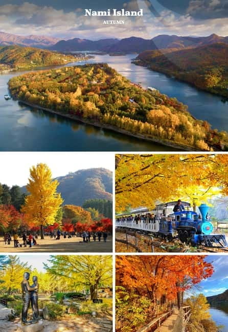 Nami Island, Railbike & Alpaca Garden Day Trip from Seoul - Food, timing, and what to bring