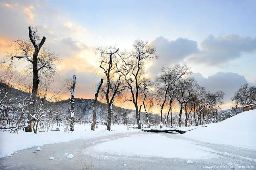 Nami Island, Railbike & Alpaca Garden Day Trip from Seoul - Who will get the most from this tour