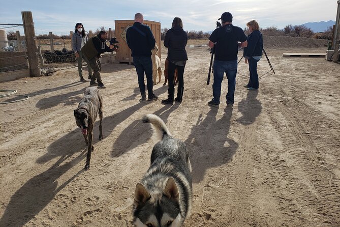 Nature Health Farms Alpaca Farm Petting Zoo Pahrump Death Valley - Staff, reservations, and timing