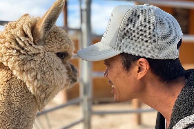 Nature Health Farms Alpaca Farm Petting Zoo Pahrump Death Valley - Value, weather, and cancellation rules