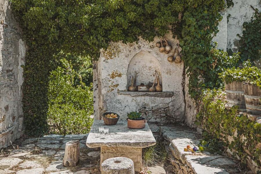 Naxos: Family Farm-table Cooking, Kouros Tour & Live Music - Picking produce before the cooking starts