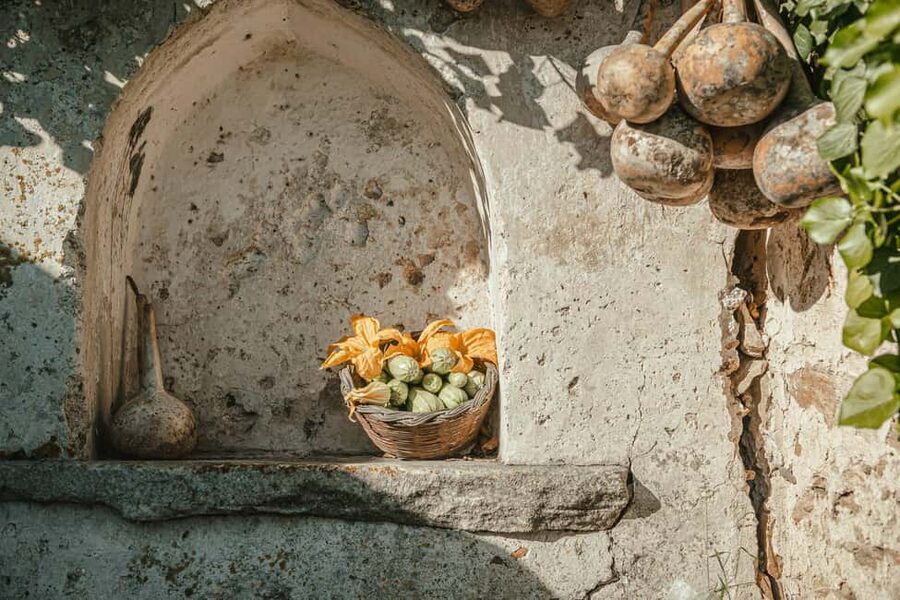 Naxos: Family Farm-table Cooking, Kouros Tour & Live Music - Lunch with local wine, violin, and lute