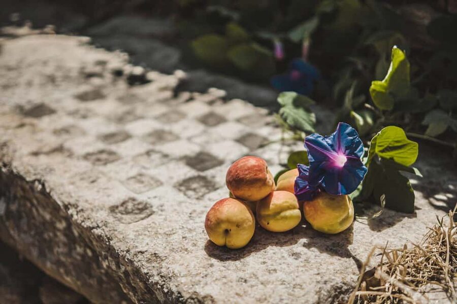 Naxos: Family Farm-table Cooking, Kouros Tour & Live Music - Learning a few Naxian dance steps