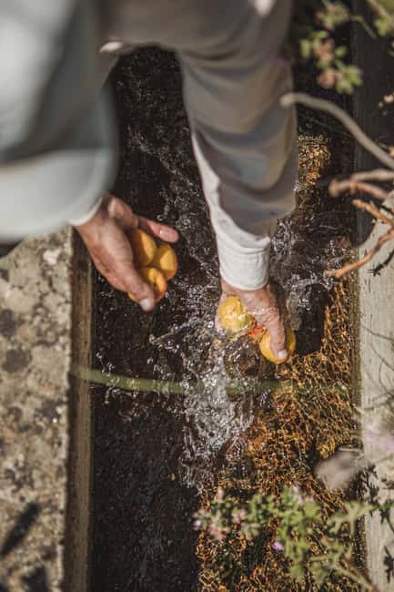 Naxos: Family Farm-table Cooking, Kouros Tour & Live Music - What the four-hour schedule means for your day