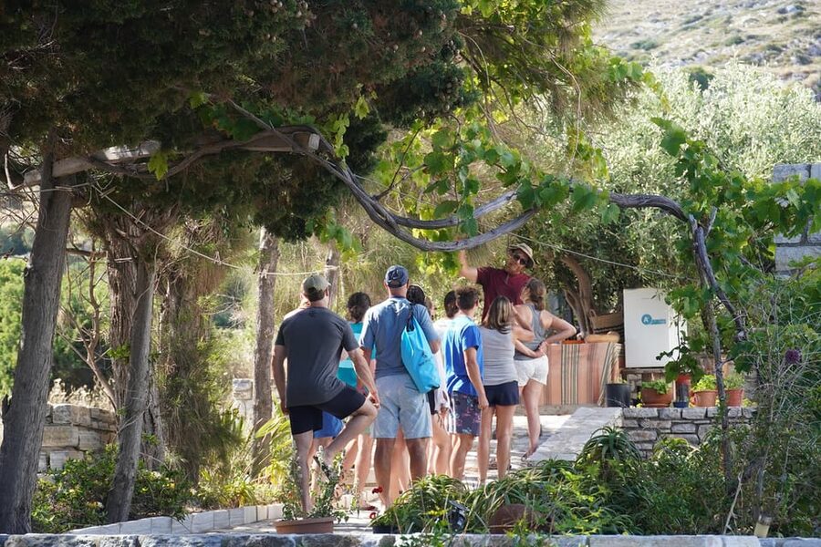 Naxos: Kampos Farm Sea Kayak Tour with Snorkeling & Picnic - The beach picnic is more than a snack stop