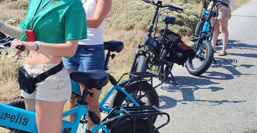 Naxos: Private E-Bike Tour with Farm Lunch - Who gets the most value from $218