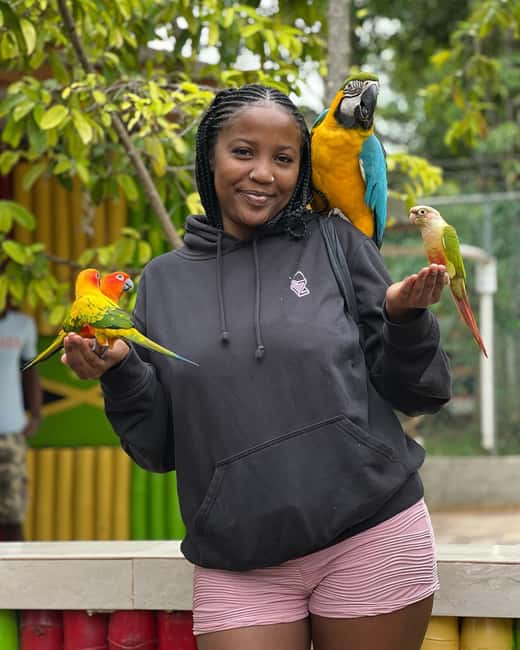 Negril Marijuana Farm and Mineral Spring Tour - Should you book the Negril Marijuana Farm and Mineral Spring Tour?