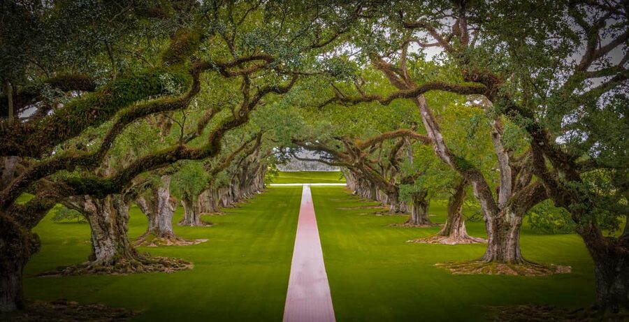 New Orleans: Bayou Swamp Tour and Oak Alley Plantation Tour - Key points to know before booking