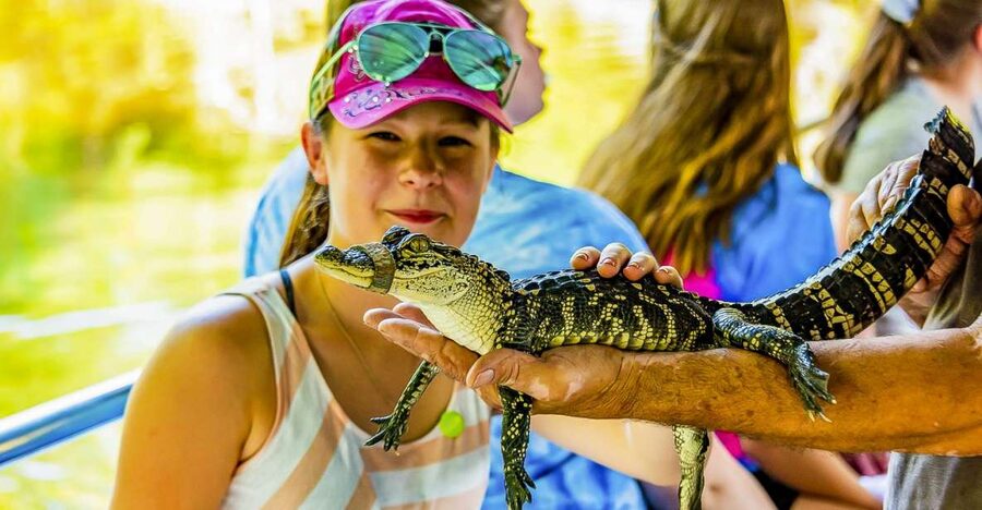 New Orleans: Bayou Swamp Tour and Oak Alley Plantation Tour - A long Louisiana day, made simple