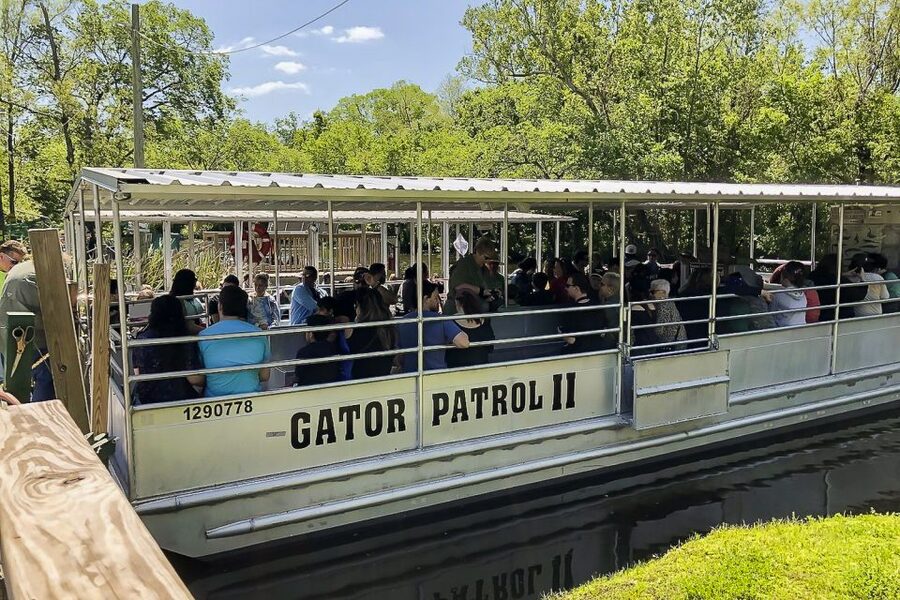 New Orleans: Bayou Swamp Tour and Oak Alley Plantation Tour - Is $125 a good value?