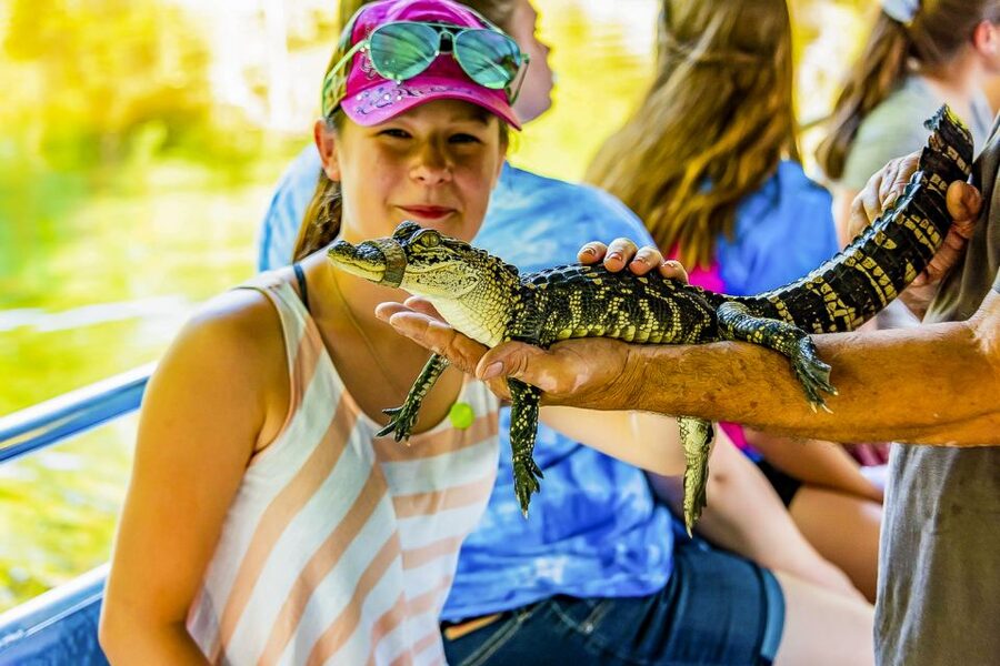 New Orleans: Bayou Swamp Tour and Oak Alley Plantation Tour - From New Orleans streets to Manchac Bayou