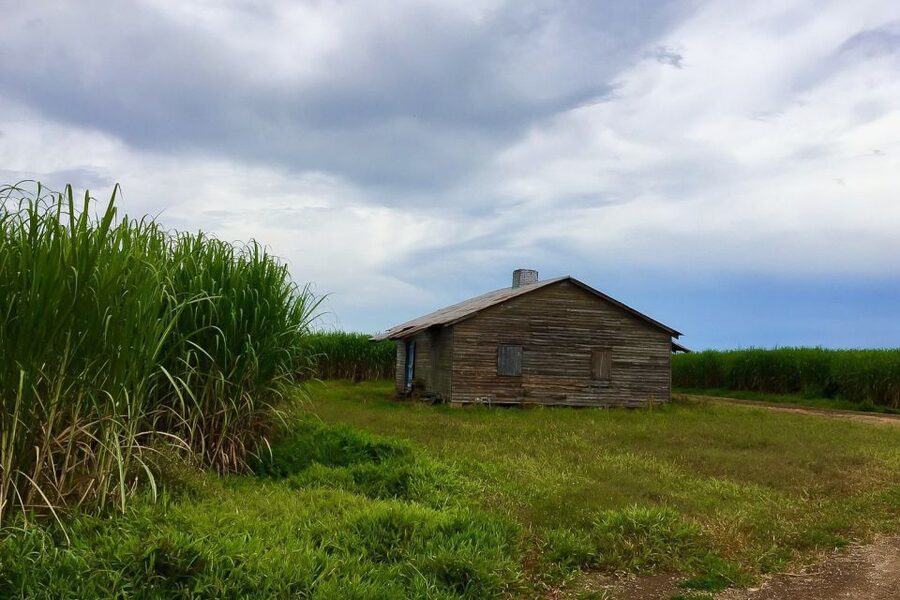 New Orleans: Destrehan Plantation & Airboat Combo Tour - Practical ways to prepare