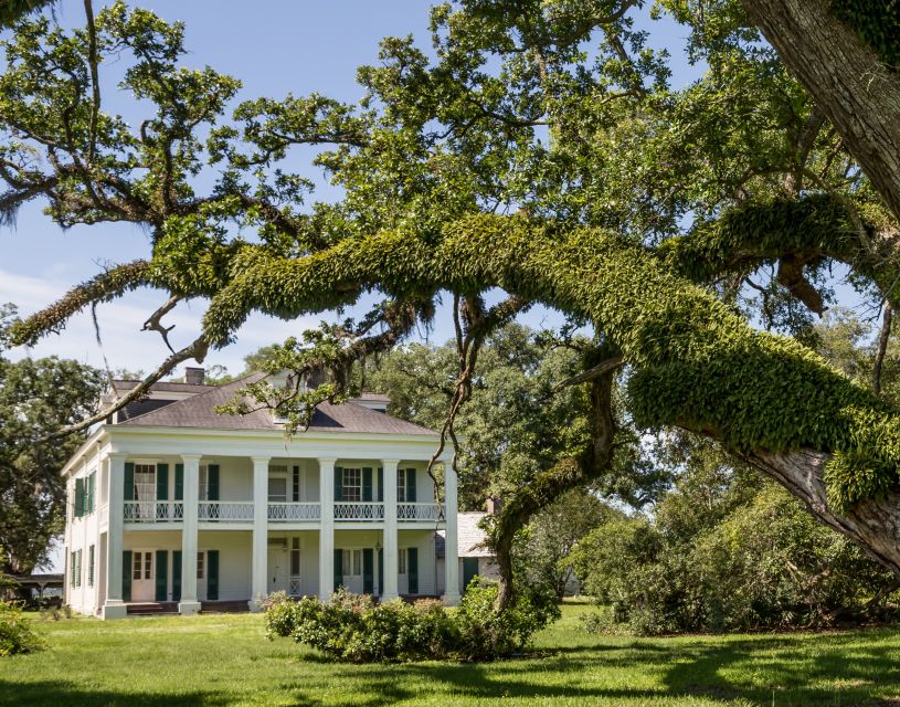 New Orleans: Felicity Plantation Guided Tour - The one-hour guided walk through Felicity