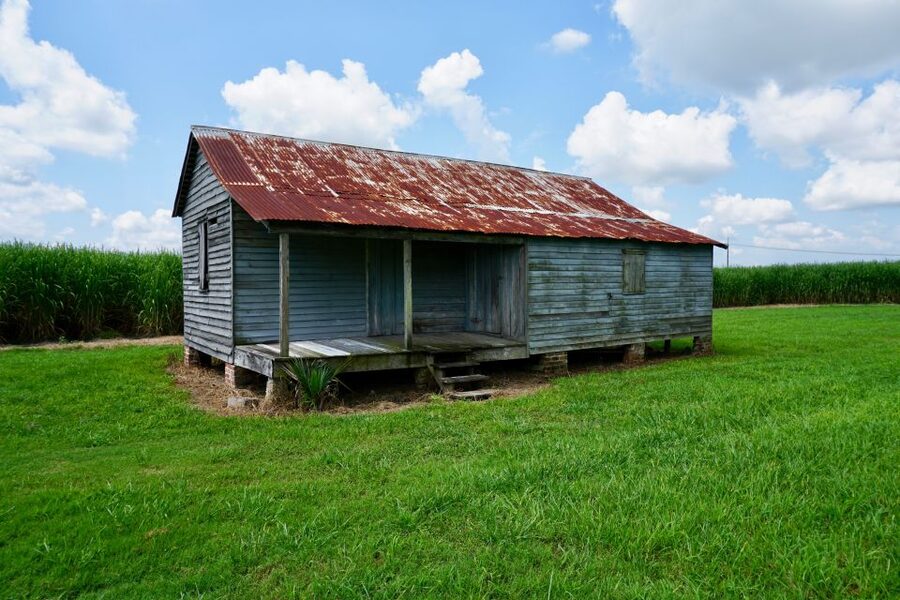 New Orleans: Felicity Plantation Guided Tour - Who will enjoy Felicity most