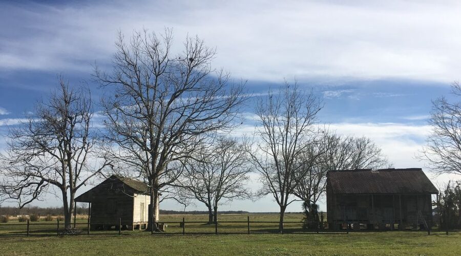 New Orleans: Laura Creole Plantation Guided Tour - Starting at the 2247 LA-18 meeting point